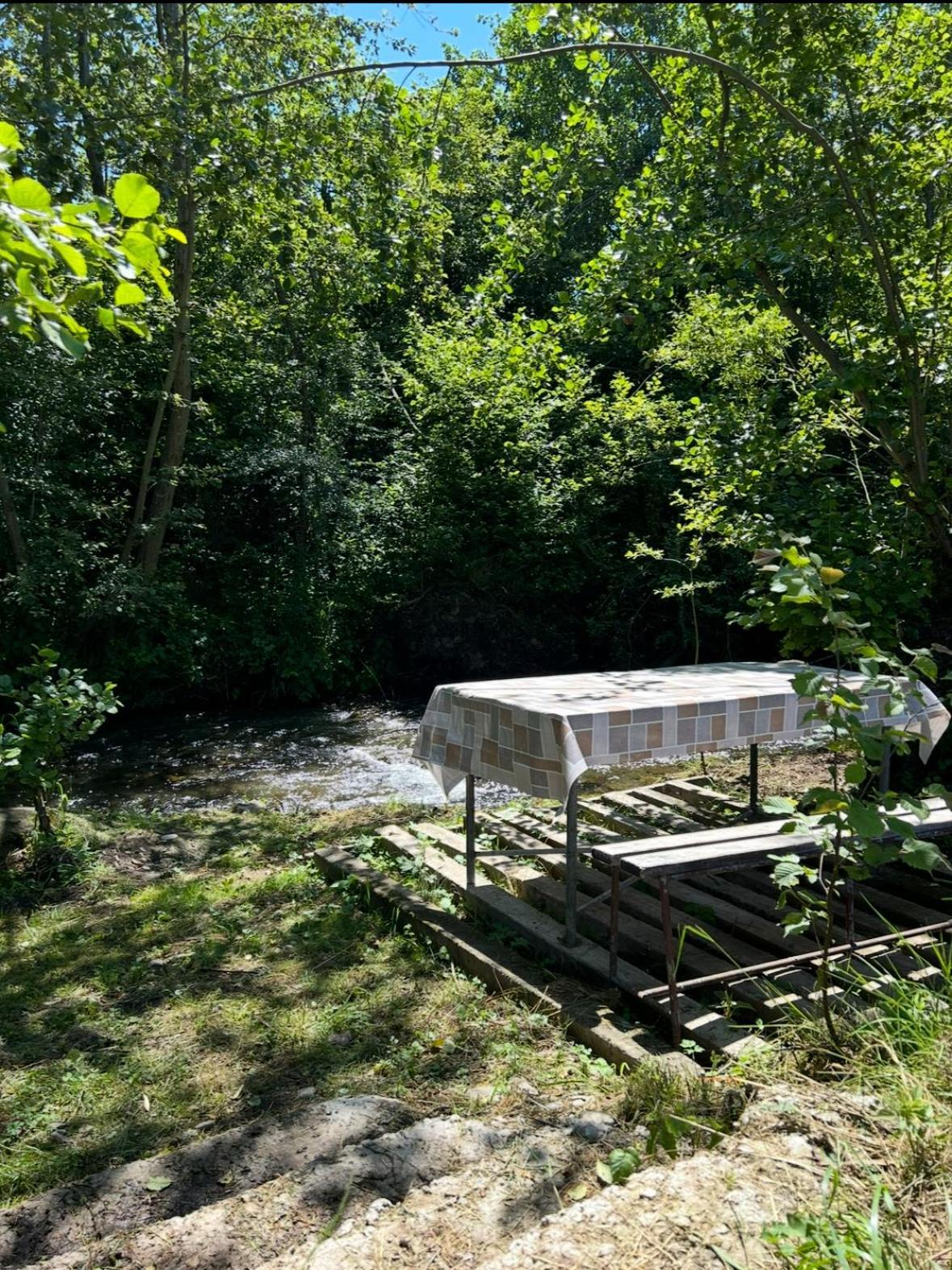 Cottage Bytheriver Arpaşu de Sus 외부 사진